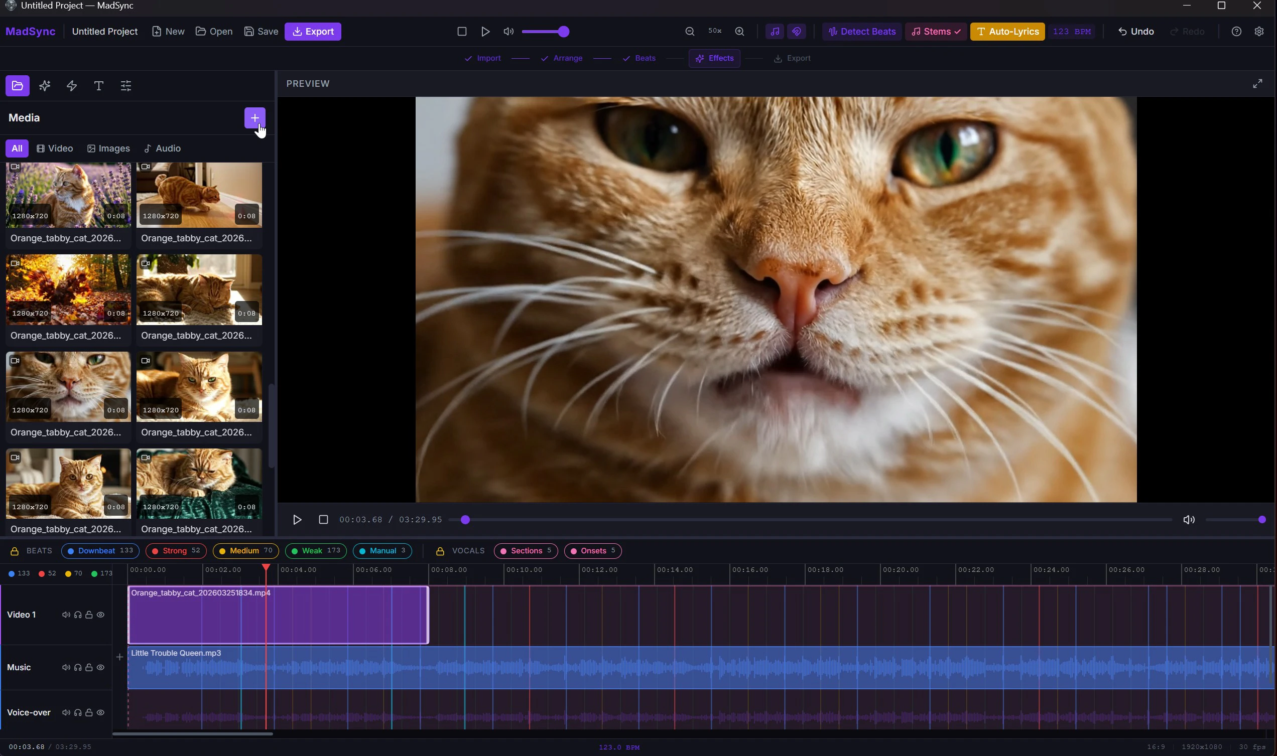 MadSync - Music Video Editor screenshot 1