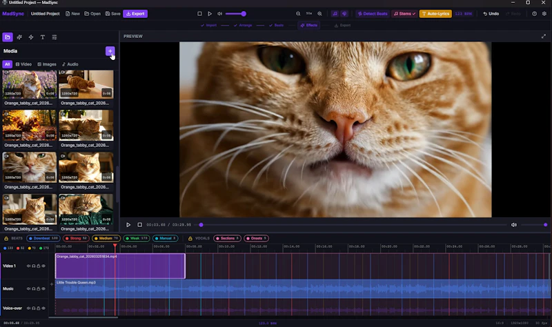 MadSync - Music Video Editor screenshot 2