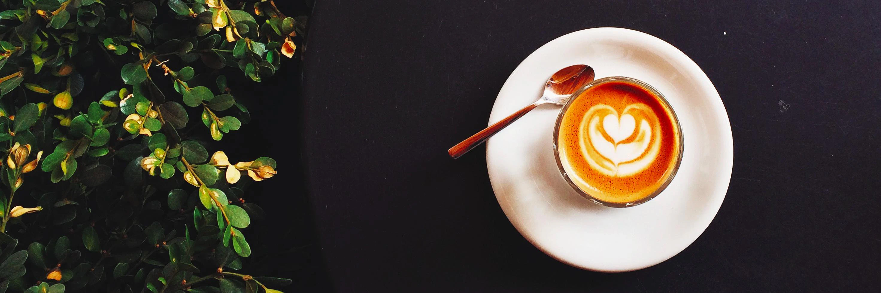 Catherine Shyu cover