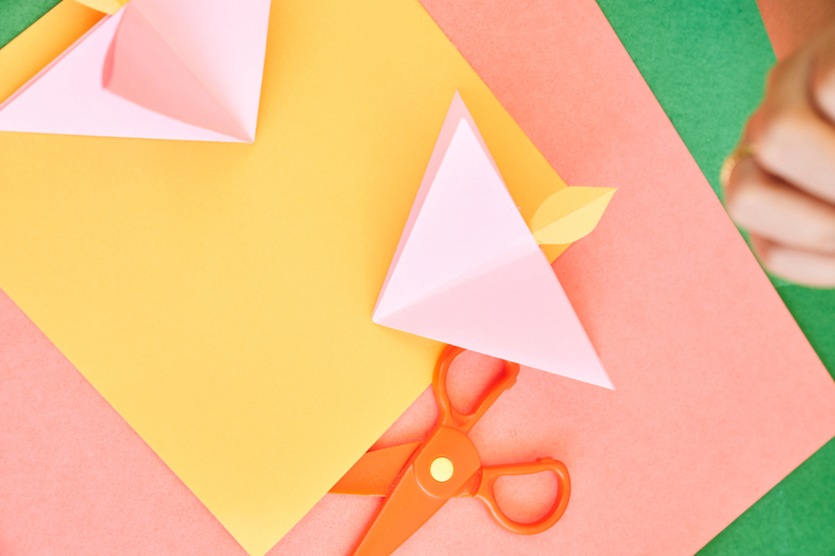 Extract and Download