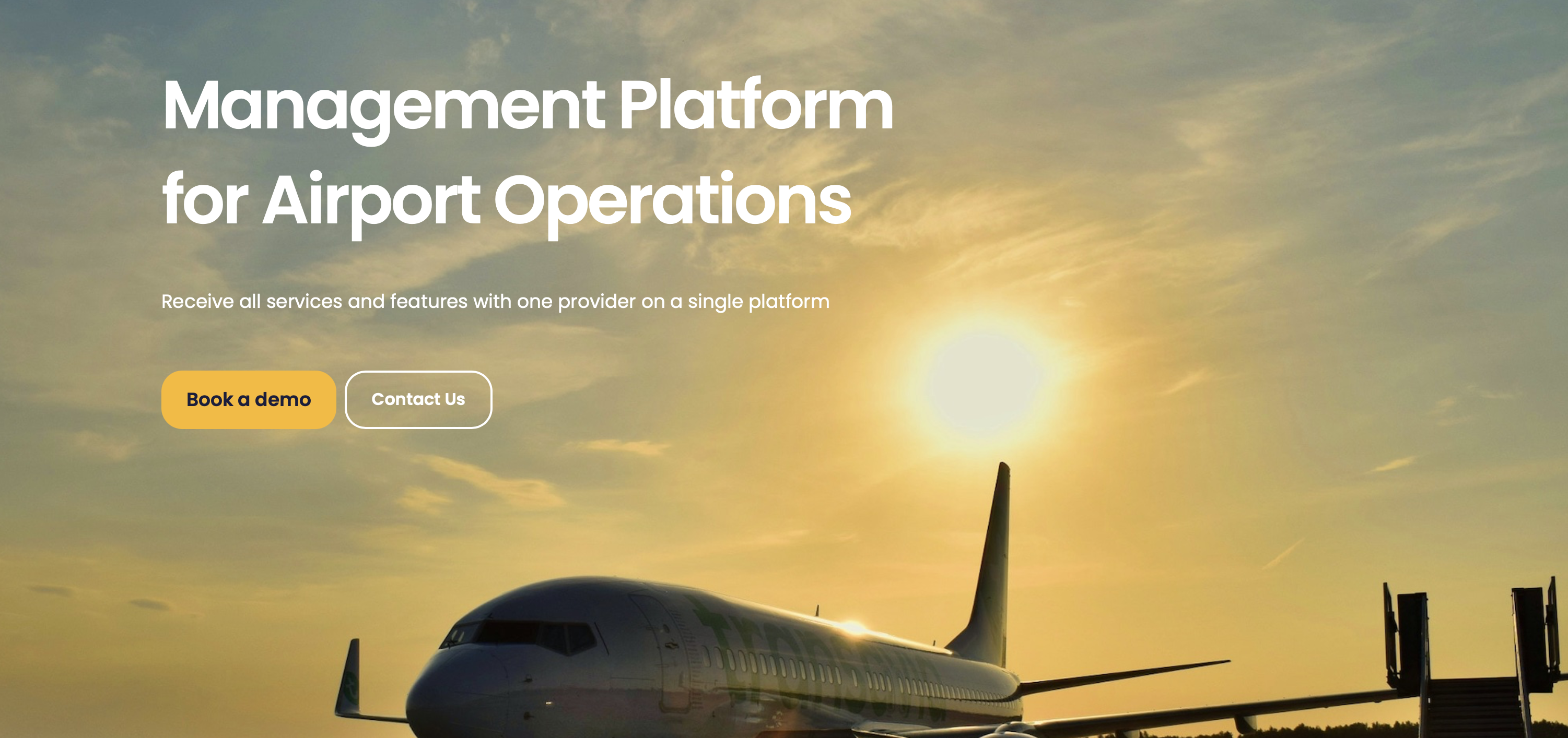 INPUT SOFT gallery image