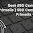 Best SEO Company Primelis