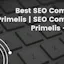 Best SEO Company Primelis
