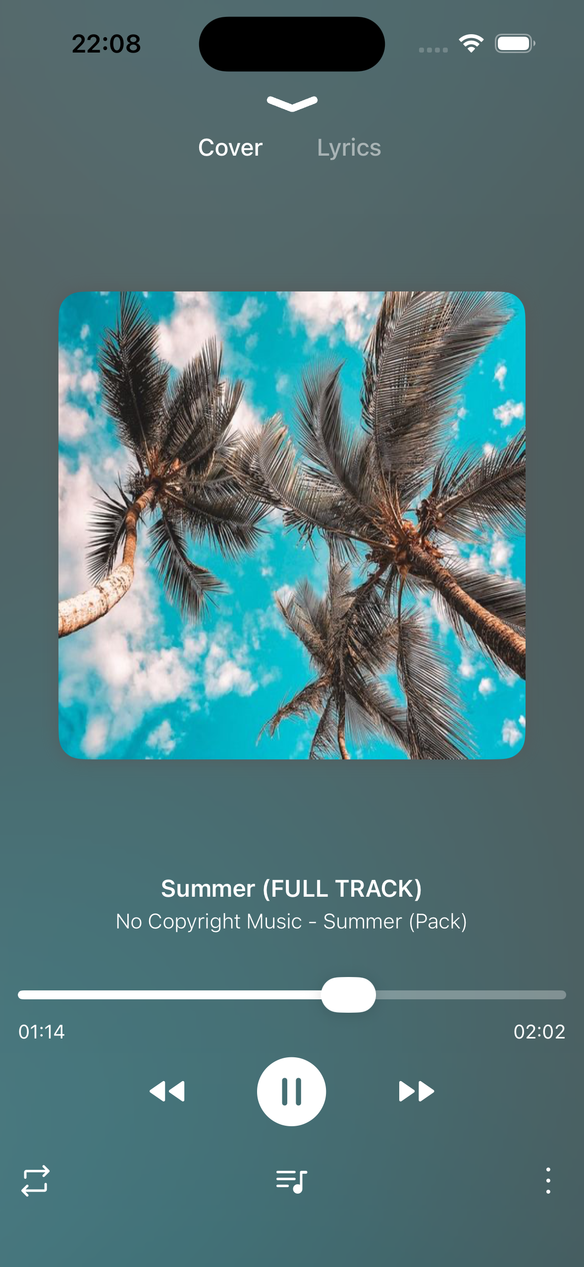 BellaCat - Offline Music Player gallery image
