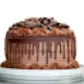 BakeryBio