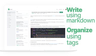 Papyrus gallery image