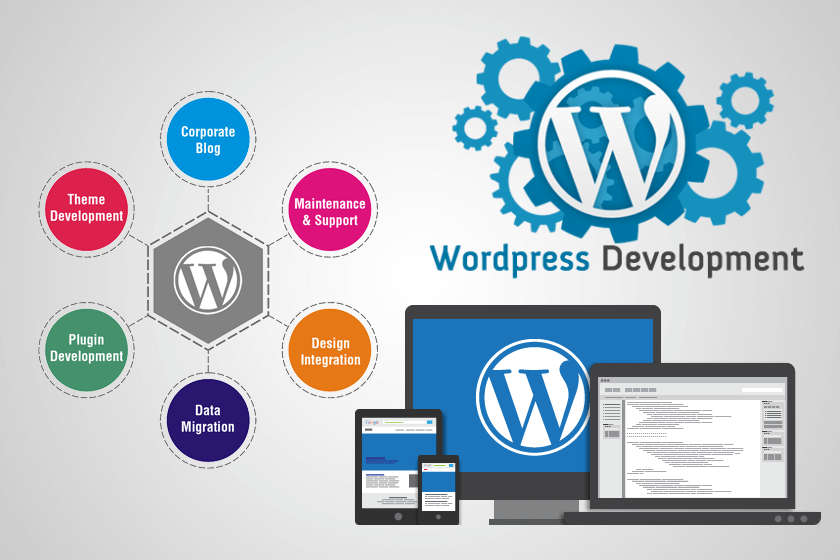 Web Development
