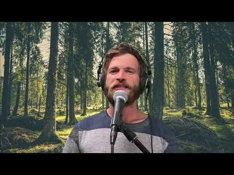 DecLegacy.com  gallery image