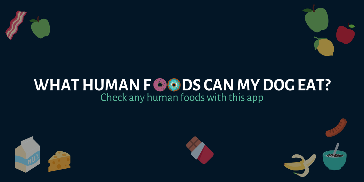 Foods Dogs Can Eat gallery image