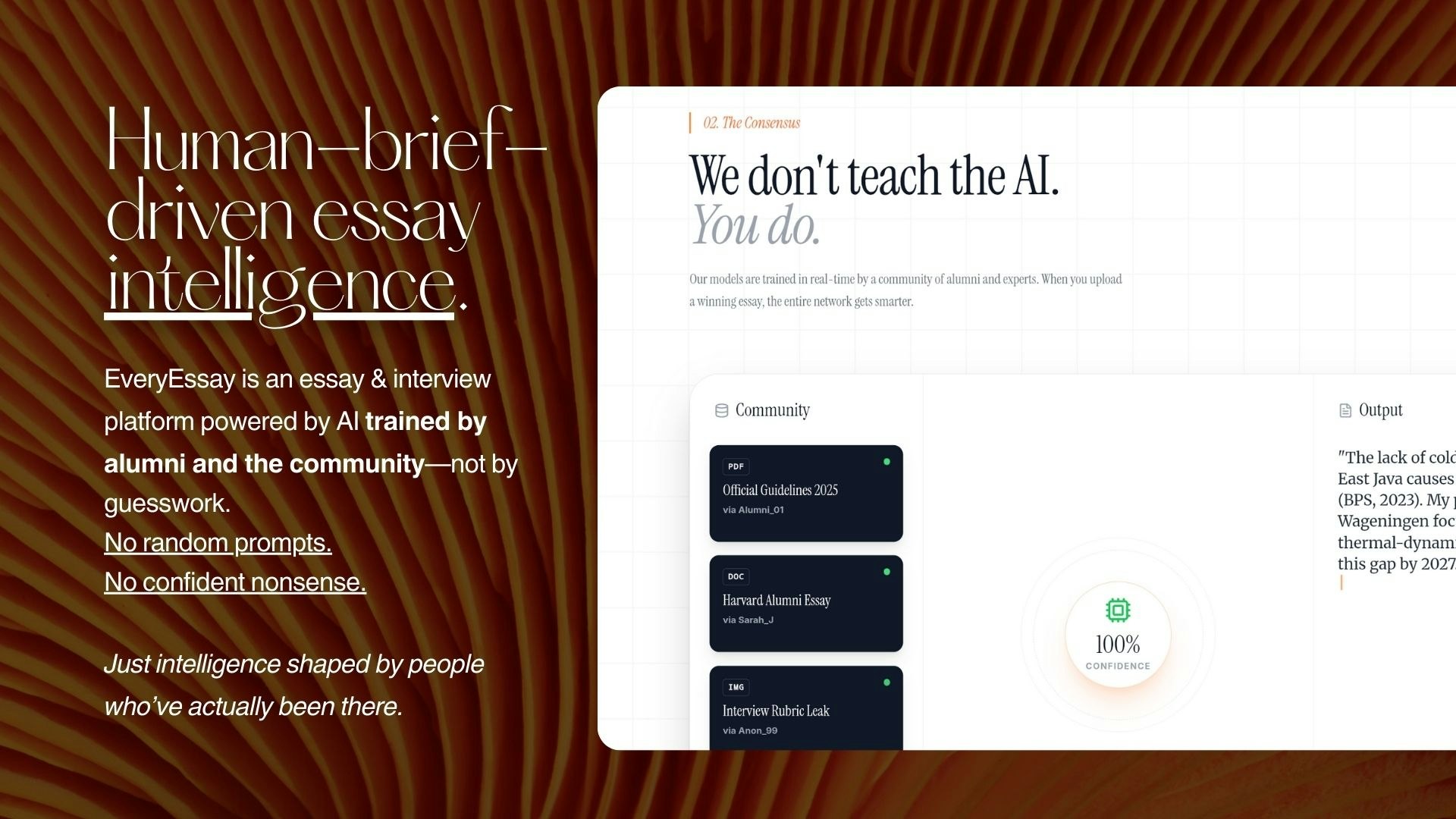 Everyessay - Screenshot 2 showing product features and functionality