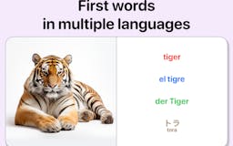 First Words - Multilingua media 1
