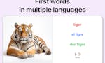First Words - Multilingual image