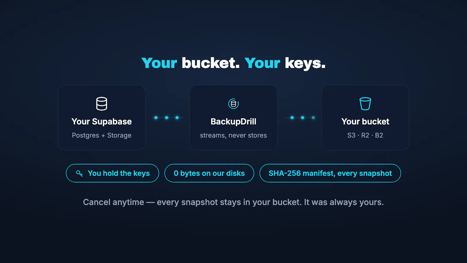 BackupDrill screenshot 6