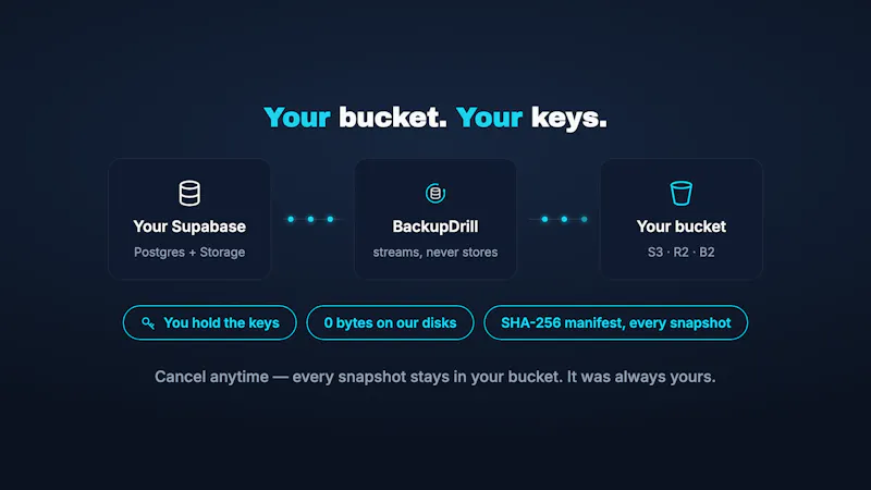 BackupDrill screenshot 6