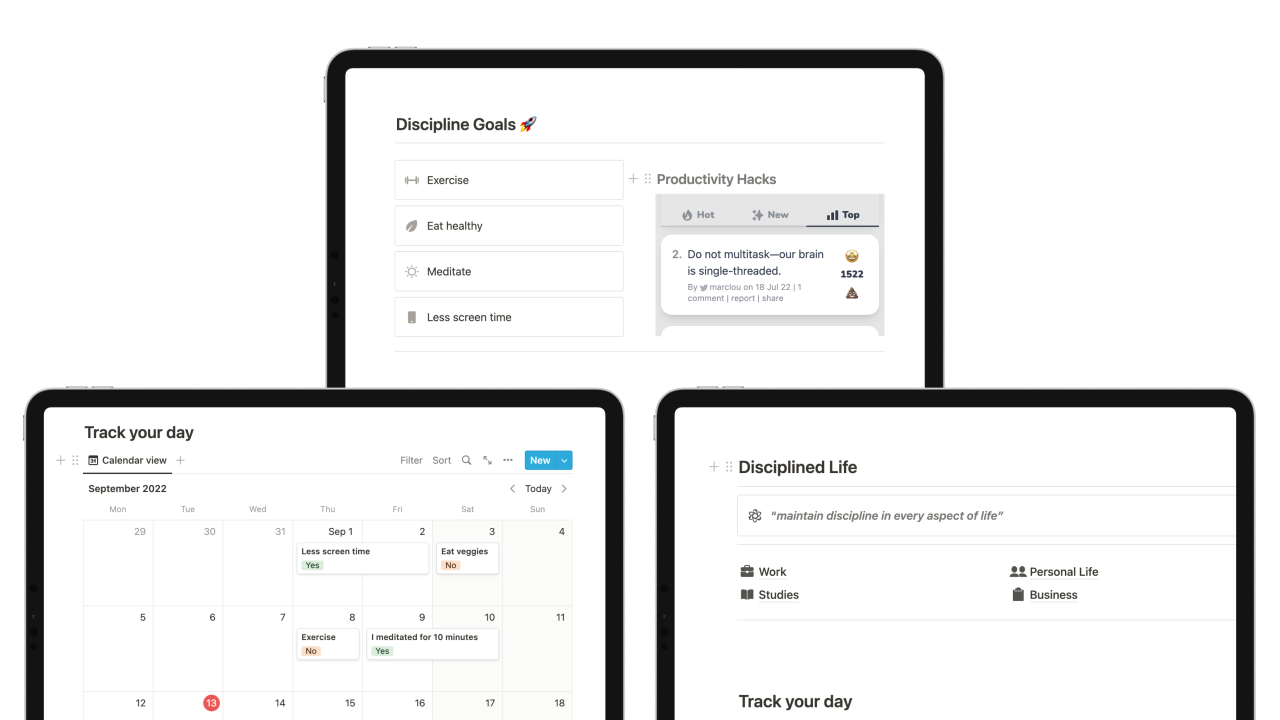Notion Discipline OS gallery image
