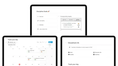 Notion Discipline OS gallery image