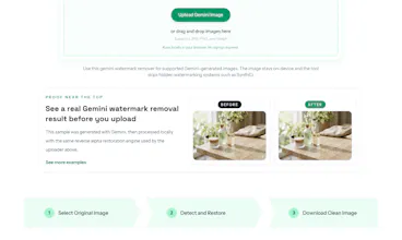 Gemini Watermark Remover Online gallery image