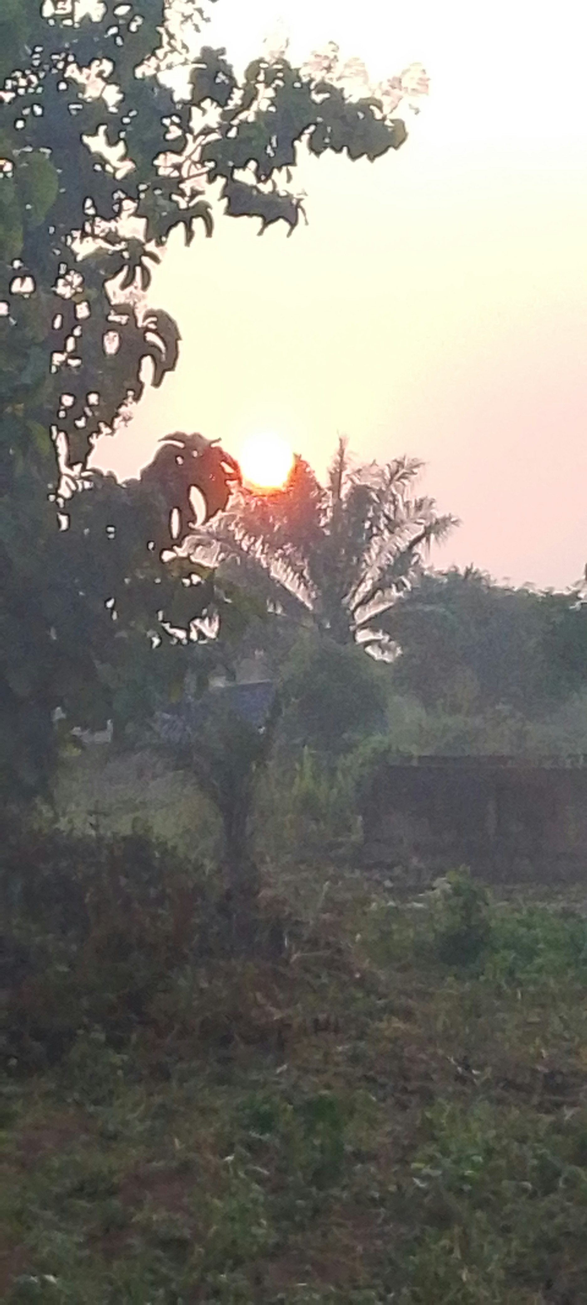 Voyageur gallery image