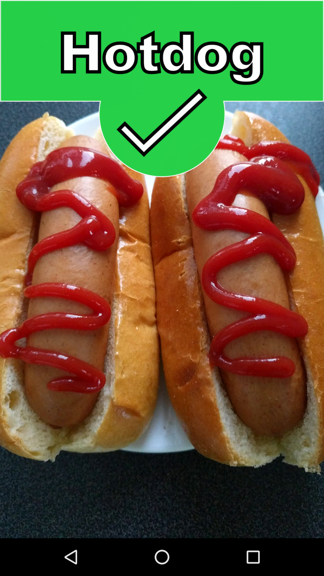Not Hotdog - SeeFood gallery image