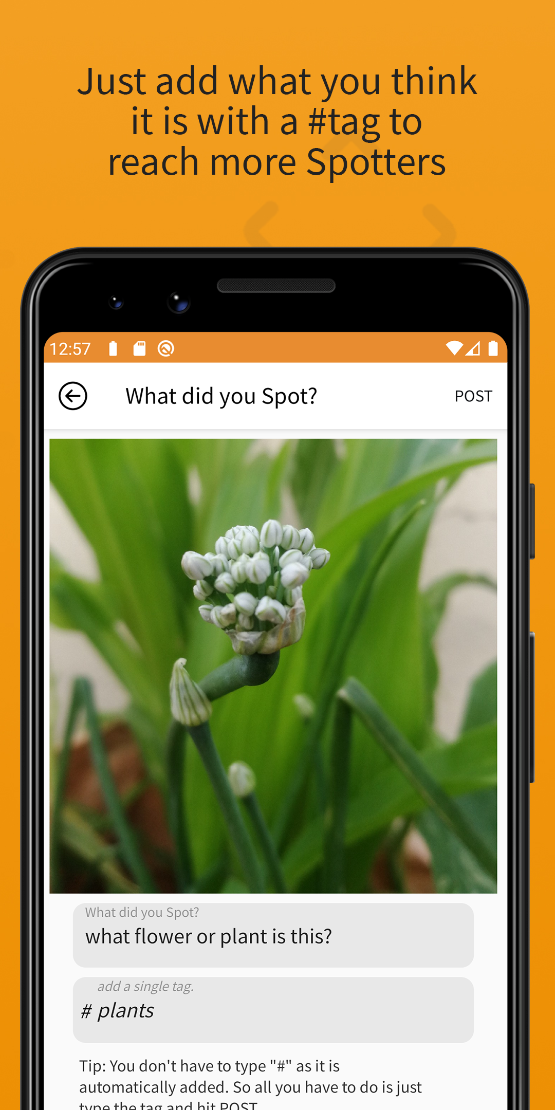 Spottd gallery image