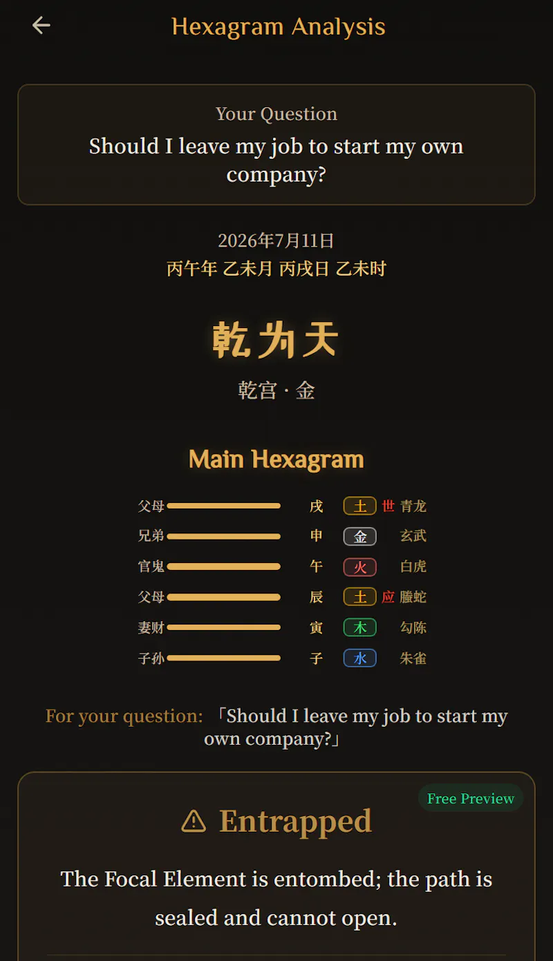 I Ching Decision Companion screenshot 3
