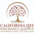 Life insurance service providers Delano