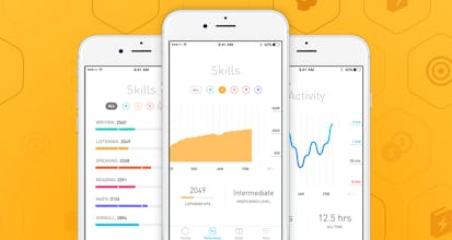 The Mind Company gallery image