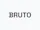 BRUTO