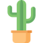 Crypto Cactus