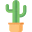 Crypto Cactus