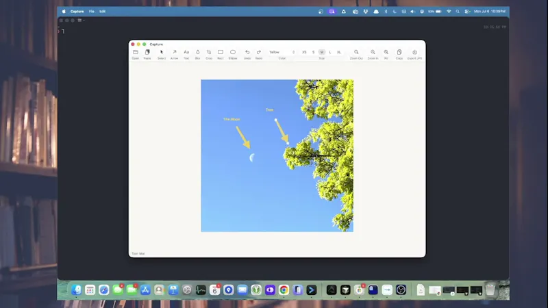 Capture screenshot 1 (video preview)