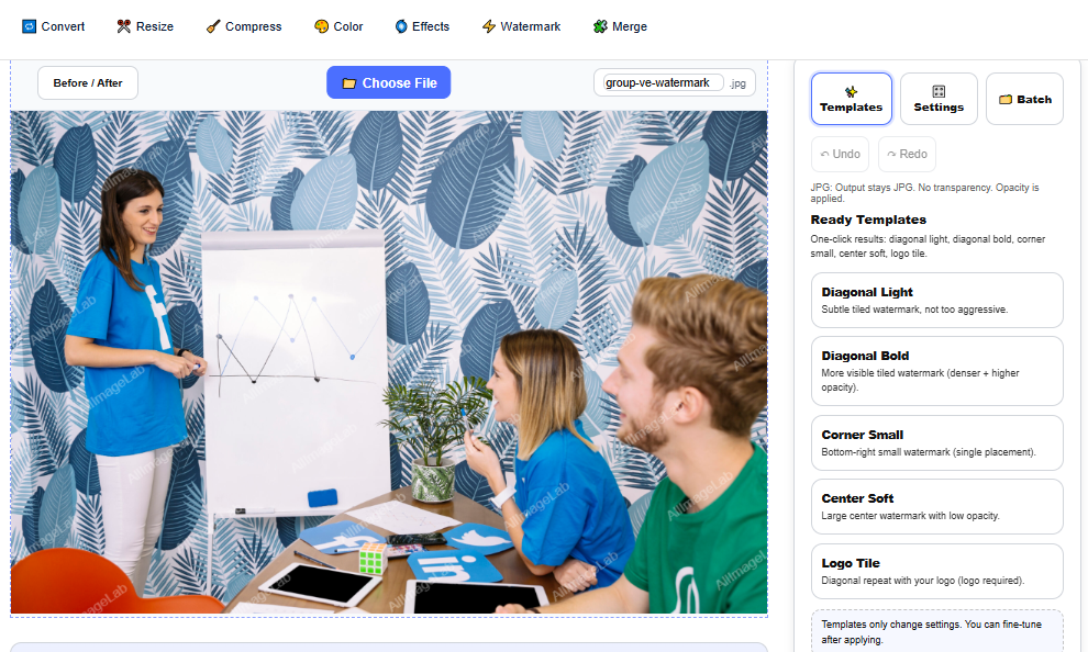 AllImageLab gallery image