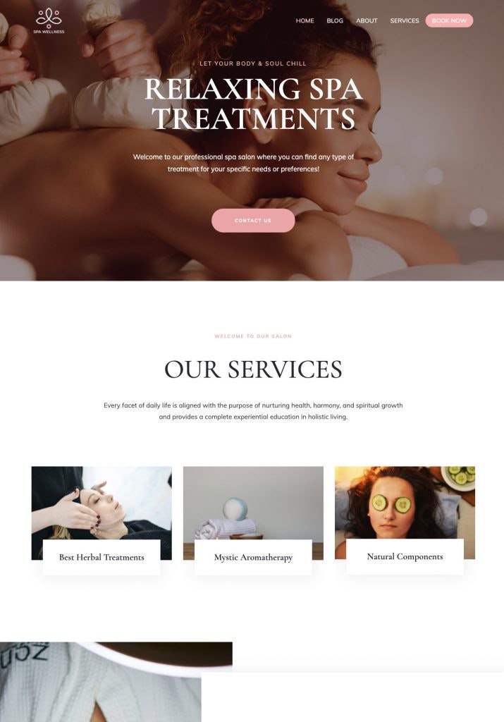 Best Page builder Theme For WoldPress gallery image