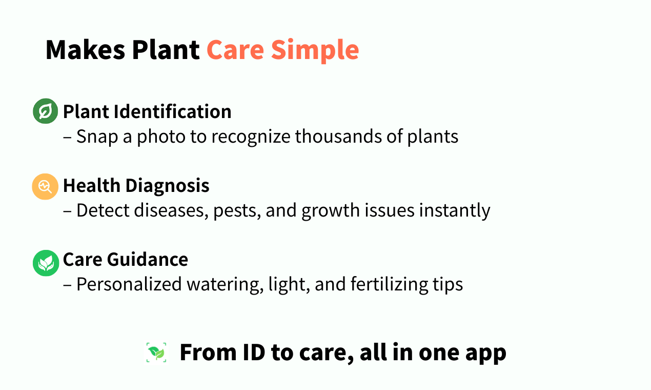 PlantFunメディア1