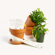 Horti gallery image