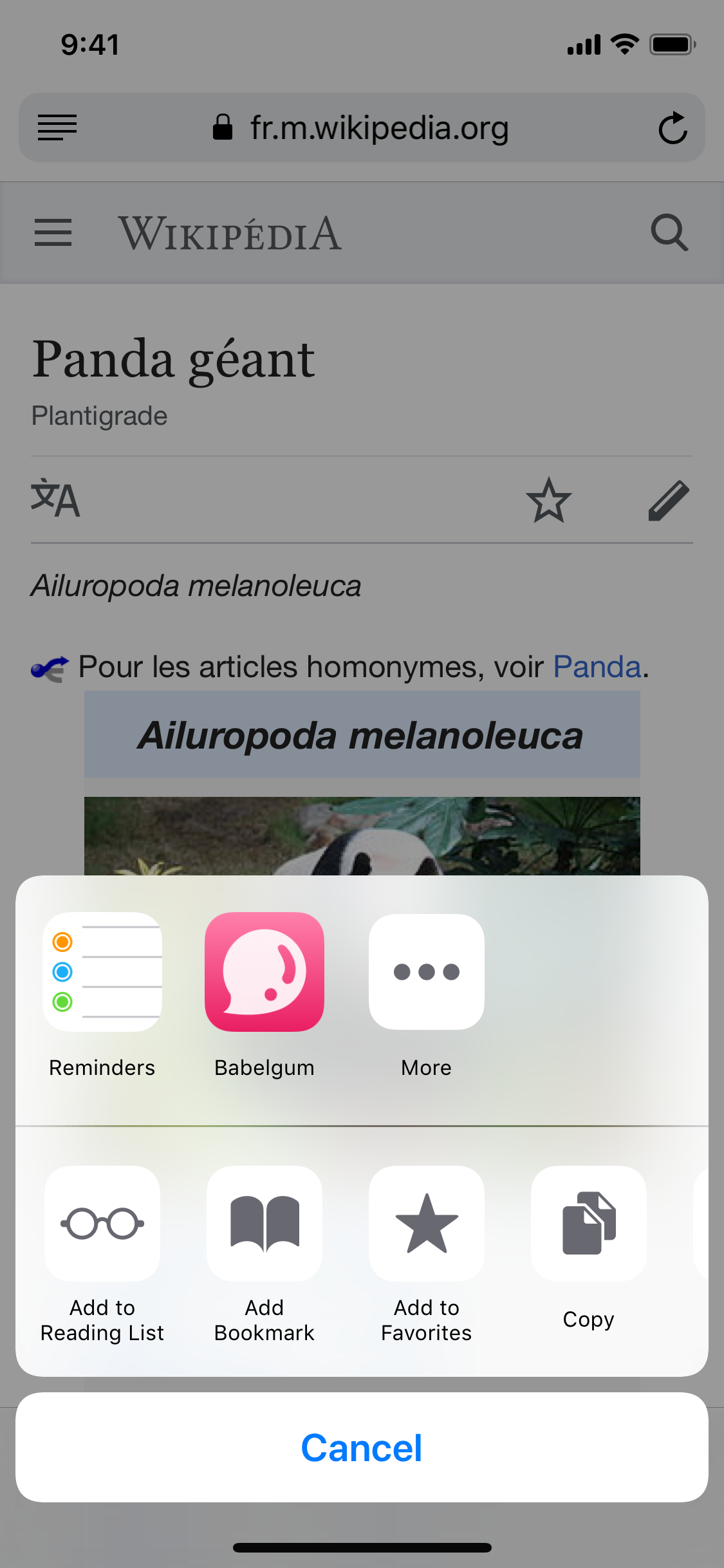 Babelgum Translator gallery image