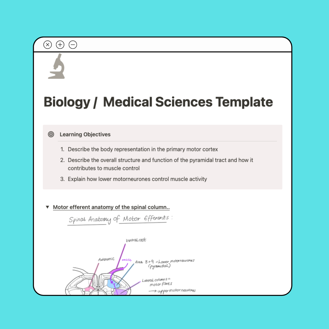 Free Minimal Lecture / Class Templates