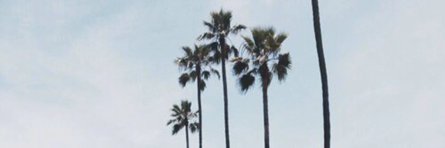 Anastasia Green cover