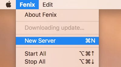 Fenix Web Server 3.0.0 gallery image