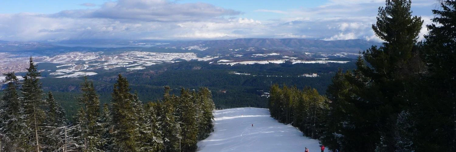 Daniel Ehevich cover