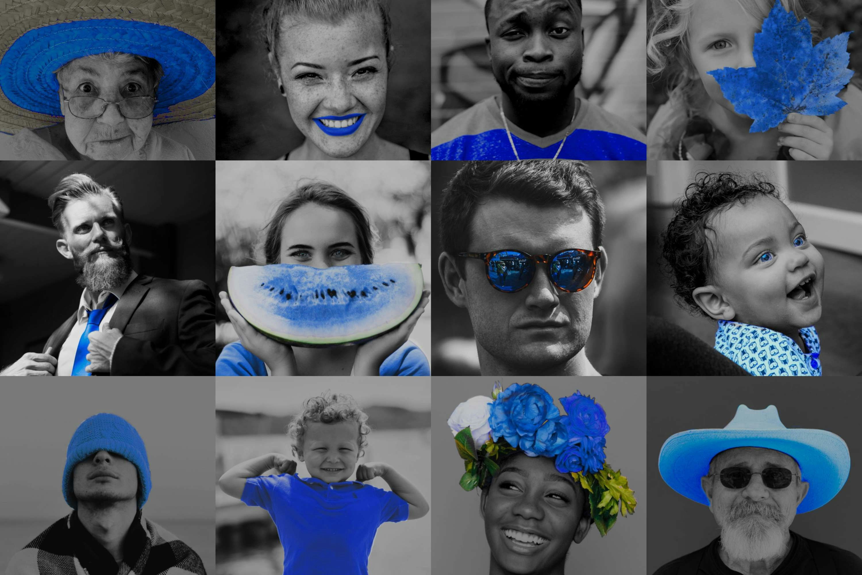 Gift Falcon gallery image