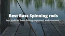 Bass Spinning rods
