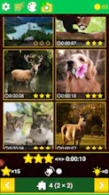 PICK and FIT JIGSAW 2019 gallery image