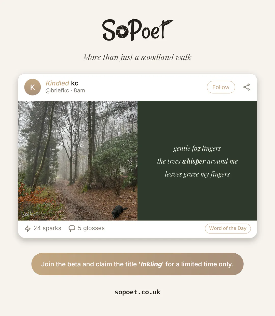 SoPoet gallery image