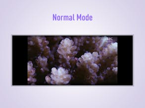 UltraWideo gallery image