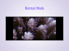 UltraWideo gallery image