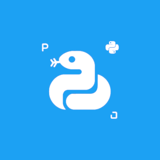 Python -code: leer en oefen