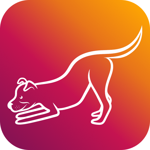 Zoomies Play ™ App