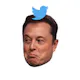 Elon Sh*tposts Quiz