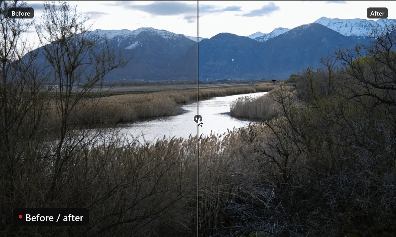 Darkroom gallery image